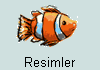  Resimler 