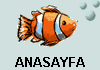  ANASAYFA 