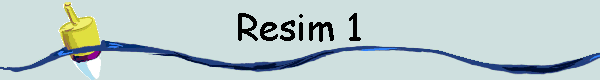  Resim 1 