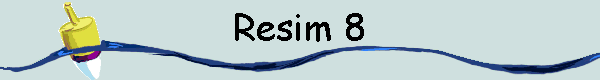  Resim 8 